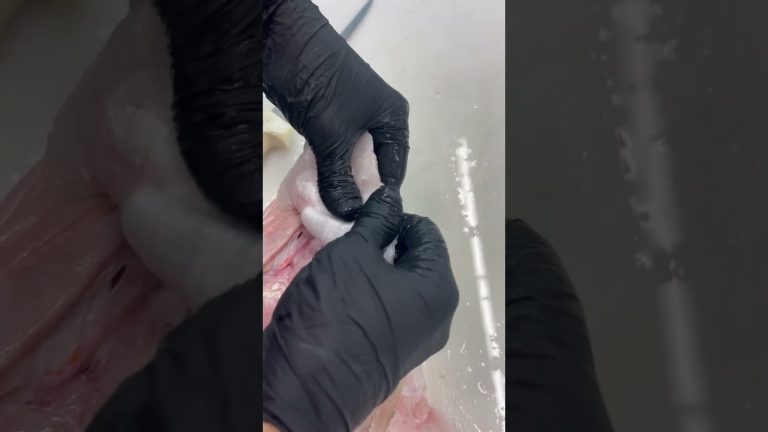 Cheeks! What's your favorite fish cheek recipe!? #fishmonger #fishingisacontactsport #fishing