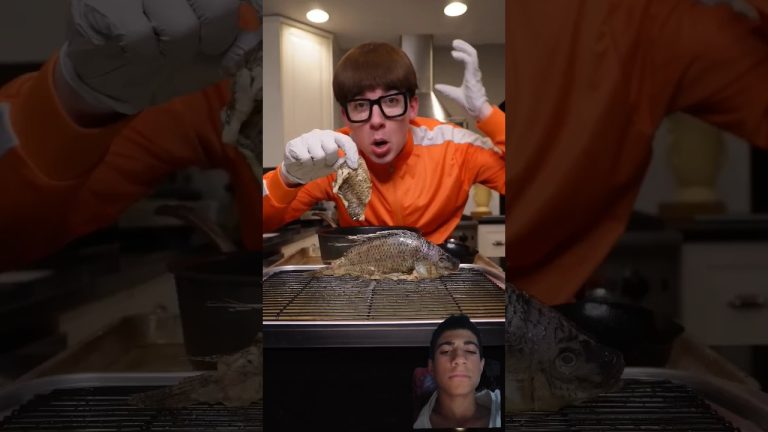 #cooking #friedfish #food #fish #recipe #seafood #funny #stitch #funnymemes #stitchsings Vectra