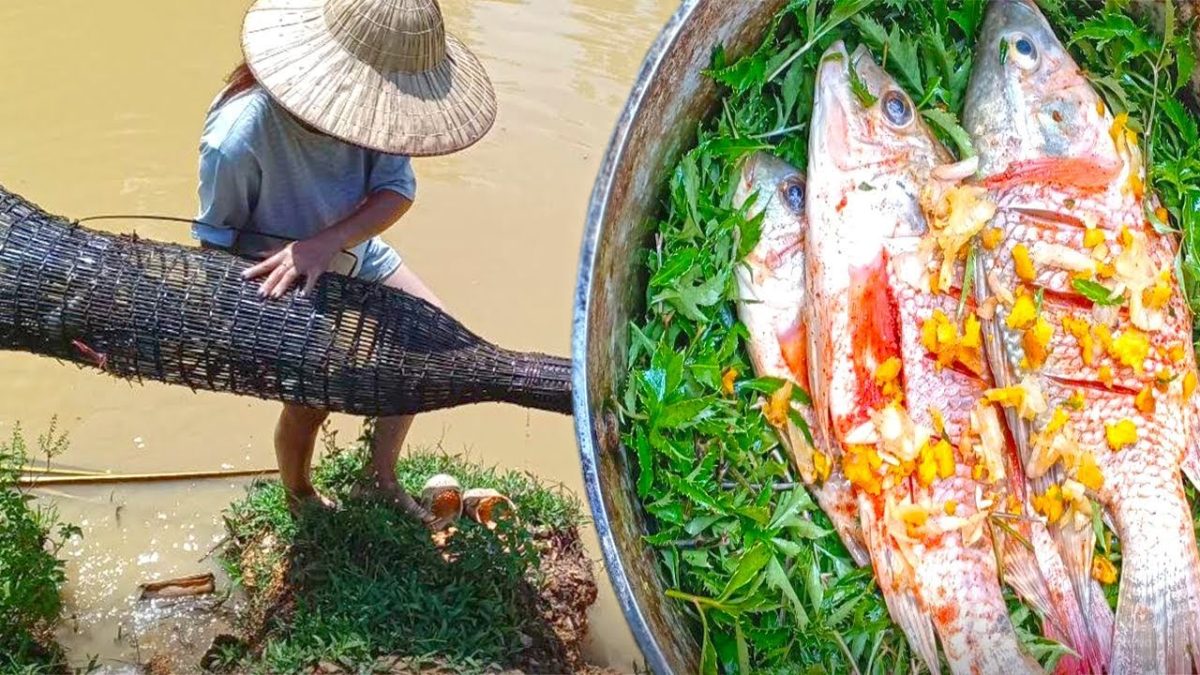 Food My Village Recipes Amazing Fishing & New Spiced Braised Fish Recipe Healthy & Easy Recipes