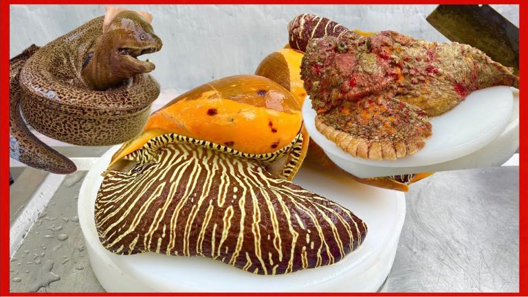 50 best seafood recipes shrimp, crab, fish, snail // Vn Chef