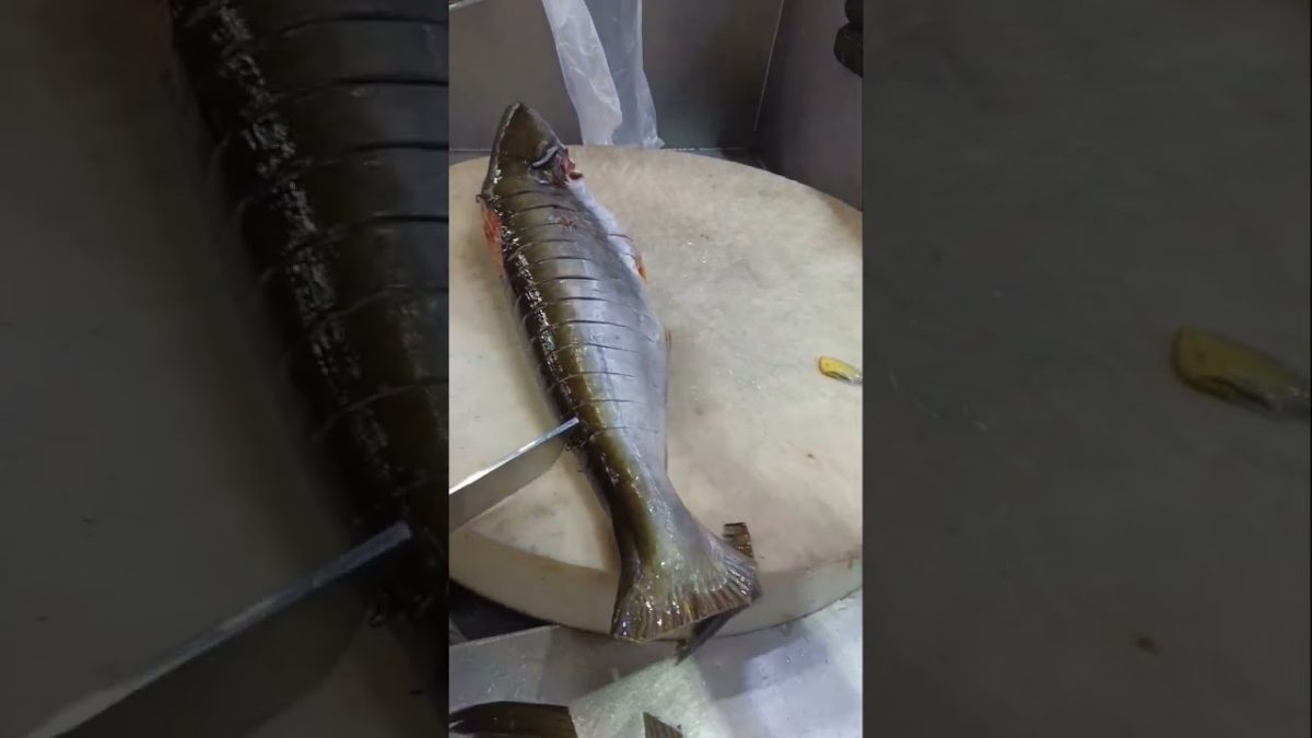 Pangas fish cutting slice #skill cutting #short YouTube video