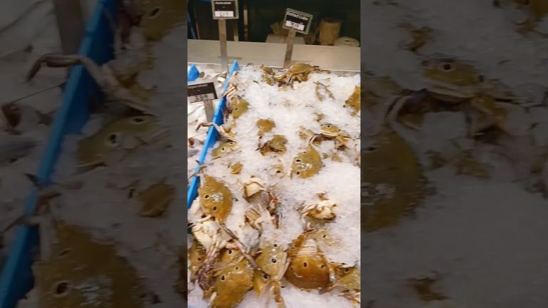 Fish 🐠#fish #seafoods # spicy 🔥#shorts #youtubeshorts #ice #shoppingmal #seafoodrecipes#food#dishes