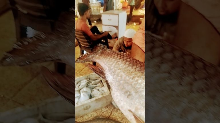 #fishcuting #seafood #fishing #fish #fiscutting #seafoodrecipes #automobile #fishcuttin #seafoods #