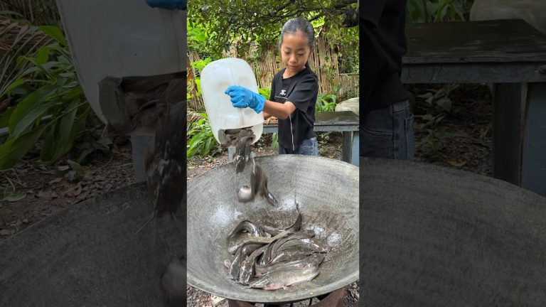 Country girl cook catfish with pineapple 🍍👩‍🍳😋