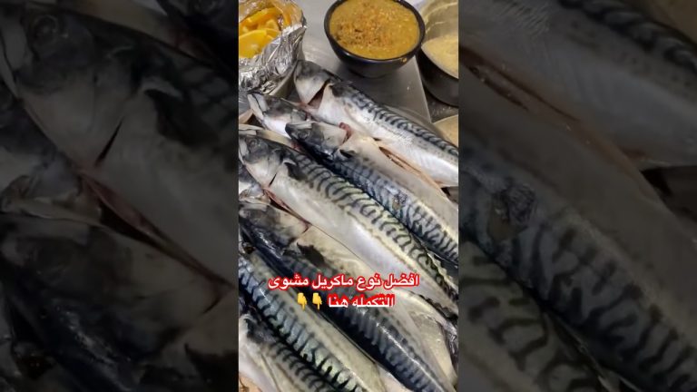 أفضل نوع ماكريل اصلى مشوى #طريقة #سمك #seafood #fish #طبخ #seafoodrecipes #youtube #طبخات