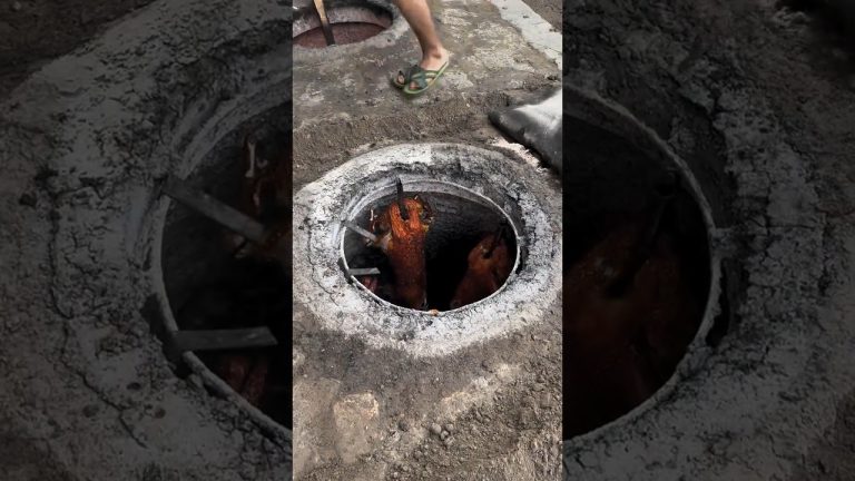 Lamb  Fu Barbeque 🐑 😋 #shorts #ytshorts #shortsfeed #lamb #bbq