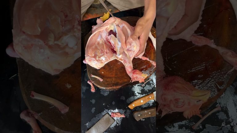 Buka tulang ayam #filletchicken #ayamsegar #cuttingskills #chickenrecipes #chickencutting #short