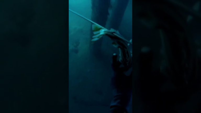 Bugaong #spearo #seafood #spearolife #fish #spearfish #fishseafood #nature #seafoodrecipes