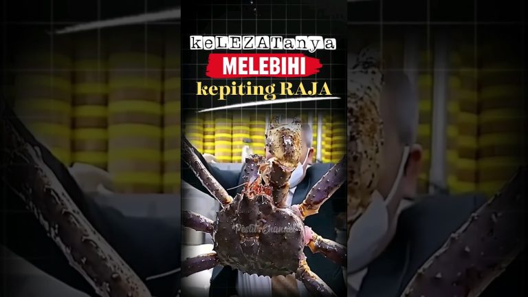 Ikan Beracun Paling Enak! #kuliner #food #faktamakanan #fact #fakta  #ikan