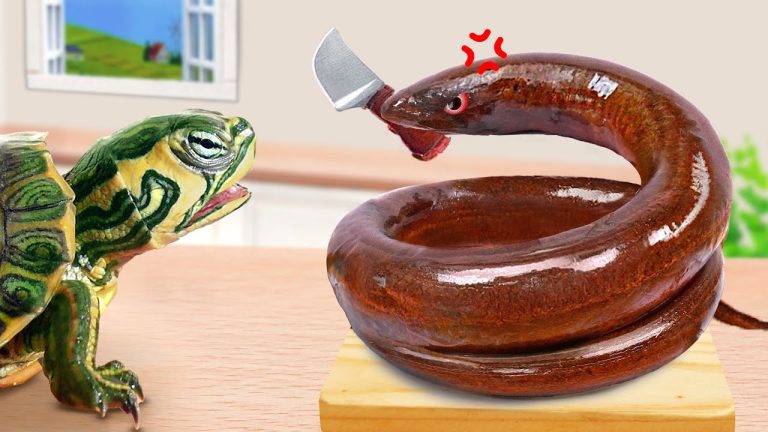 Must Try Seafood Recipes | Miniature Japanese Spicy Fried Eel for Mini Turtle | Lily Tiny Cooking