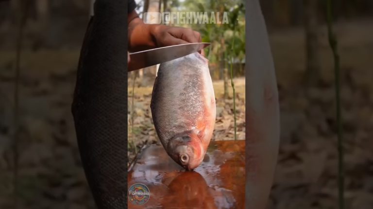 #ytshorts #viralshort #shorts #seafood |boil seafood house|seafood boil|seafood recipe|