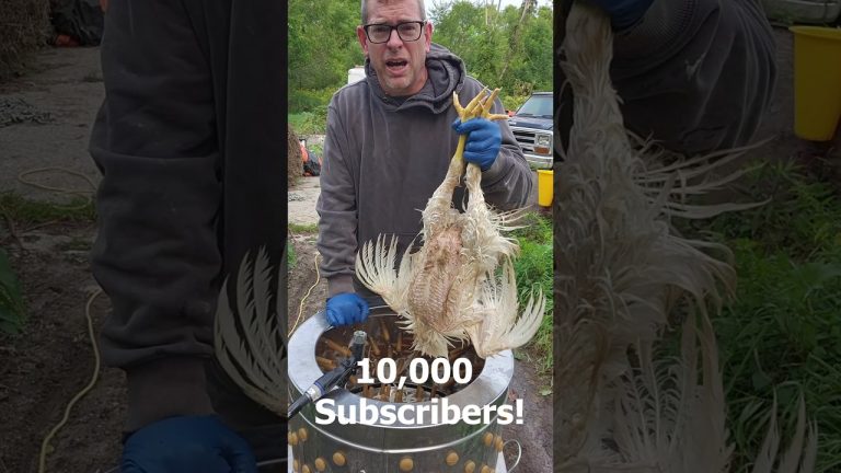 Chicken Plucker 10,000 Subs Mix #farmlife #growyourownfood #homestead #chicken #diy #chickenplucker