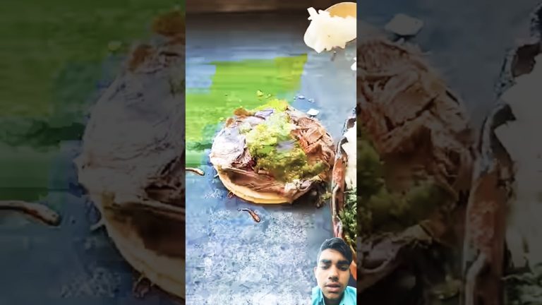 Food #food #bbq #cooking