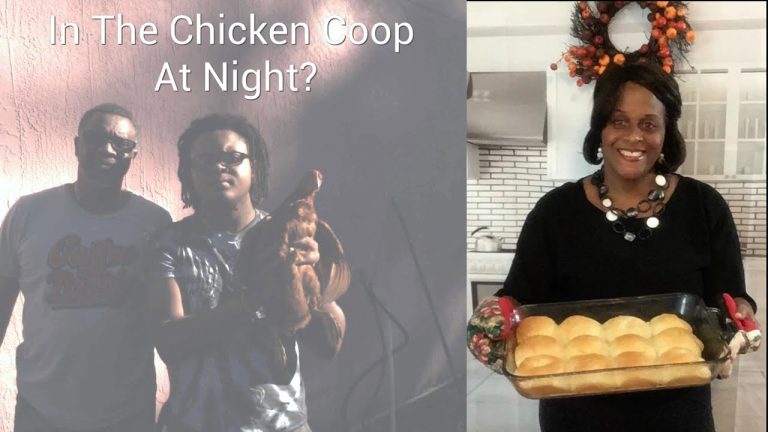 Fluffy Dinner Roll Recipe | Hens New Home Update | Daily Vlog Recipe 🐓✨