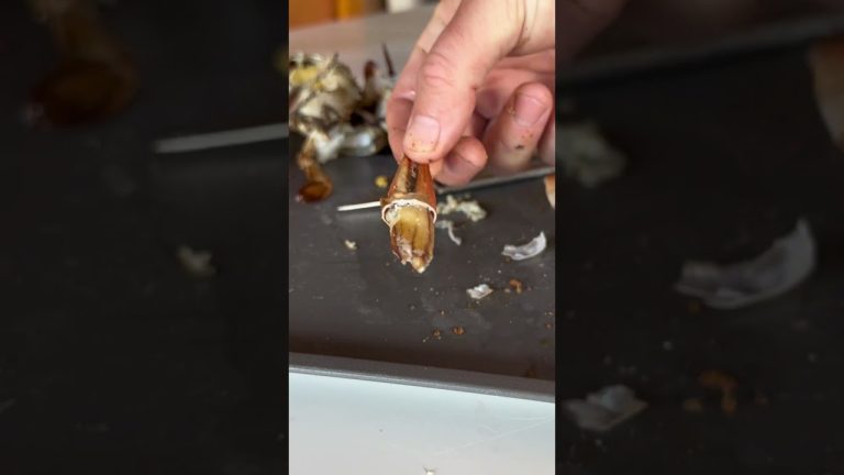 Best Ways to Pick Crab? #crab #bluecrab #seafood