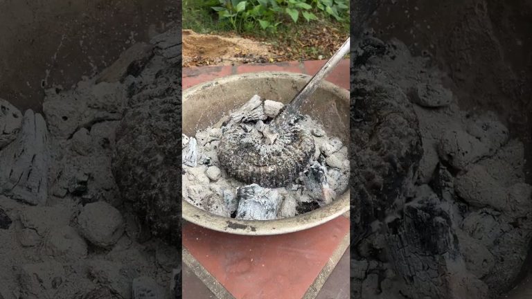 Delicious Cooking Shrimp Recipes by Chef Ka #reelsvideo #Shrimp #CookShrimpRecipes #HowToCookShrimp