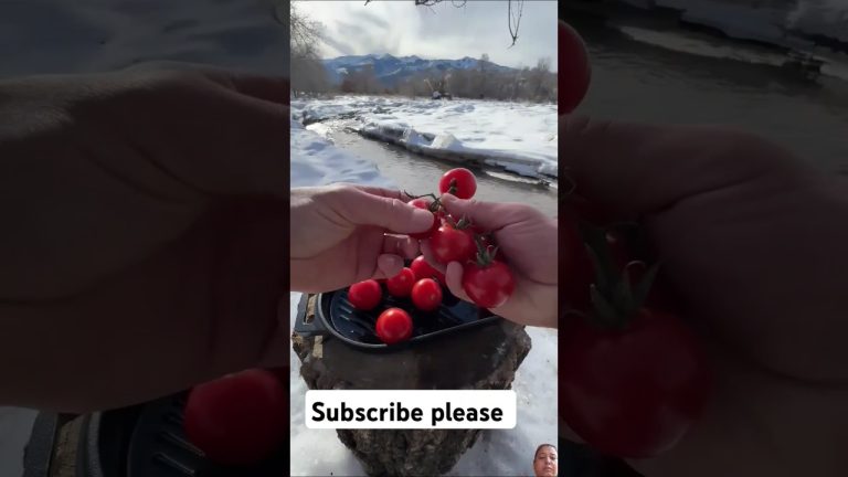 #pizza #outdoorcooking #food #cooking #camping #fishing #outdoorcuisine #seafood #seafoodrecipes