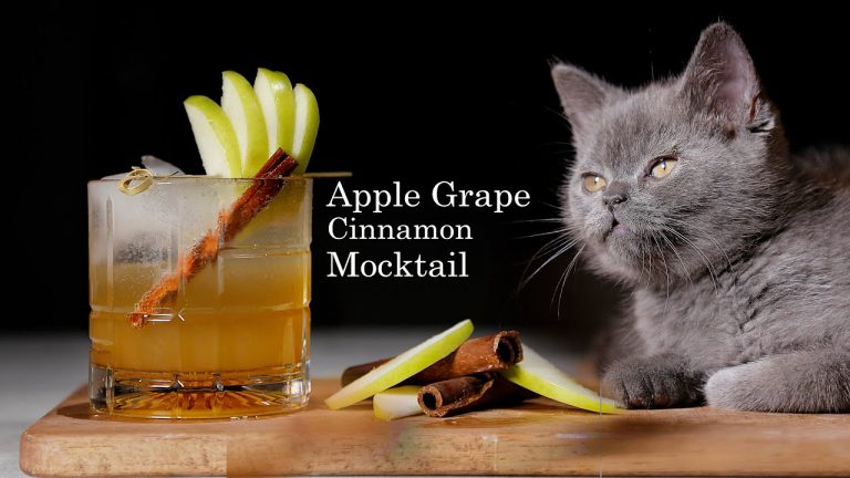 Apple Grape Cinnamon Mocktail | Making a magic mocktail with my cat | Green apple &  withe grape