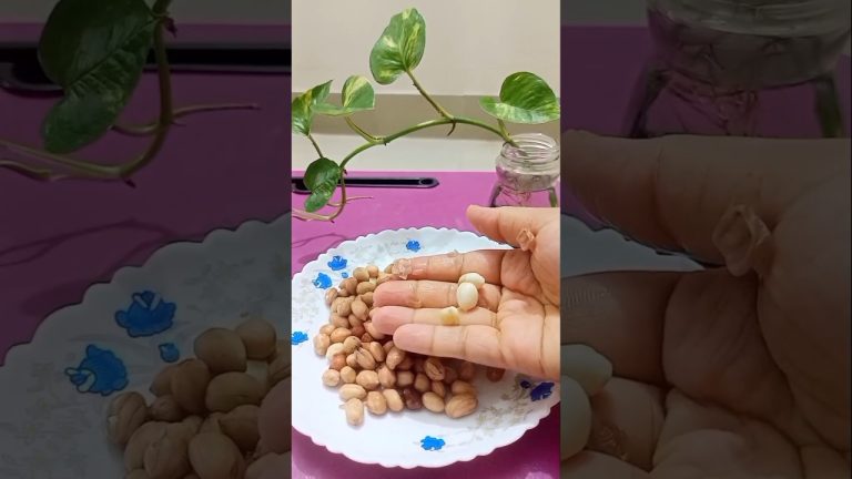 Peanut Milk with Fruits: Easy & Healthy Recipe in 60 Seconds! #youtubeshorts #shortvideo #peanut