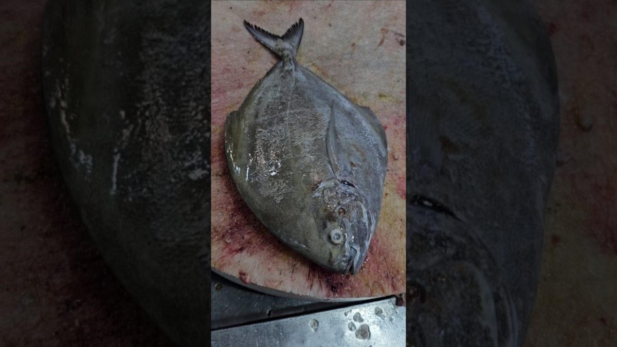 Pomfret Fish Cutting Skills#shorts