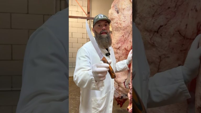 MKC X The Bearded Butchers 8” Breaking knife drops next Thursday (9-19-24 at 7p MST 9p EST) #shorts