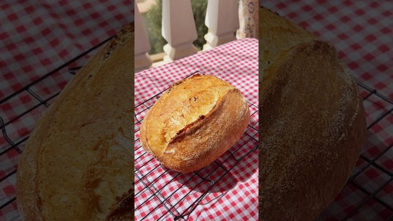 الخبز الريفي أو الساوردو sourdough bread