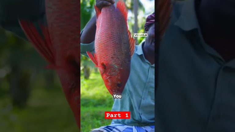 RED SNAPPER FISH | Big Fish Grill Recipe Cooking in Village#shorts #ytshorts #villagecookingchannel