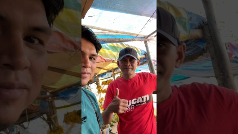 Kunjungi langganan ayam penjual nasi kuning #cuttingskills #chicken #ayamsegar #short