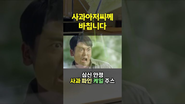 사과해요 나한테 네 사과할게요 사과파인케일 주스 레시피