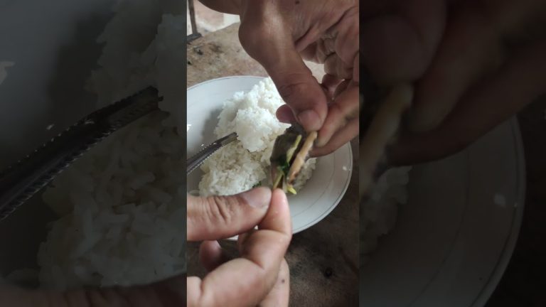 #fishing #seafood #spearfish #fish #spearo #spearolife #seafoodrecipes #fishseafood #beach