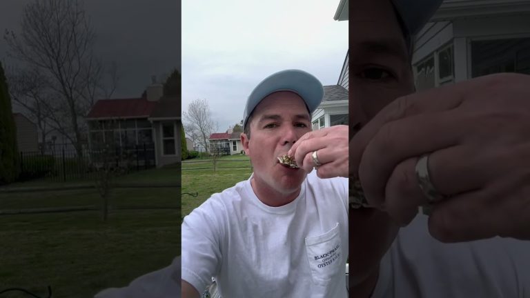 My Top 4 Oysters I’ve eaten #seafood #oysters #tastetest