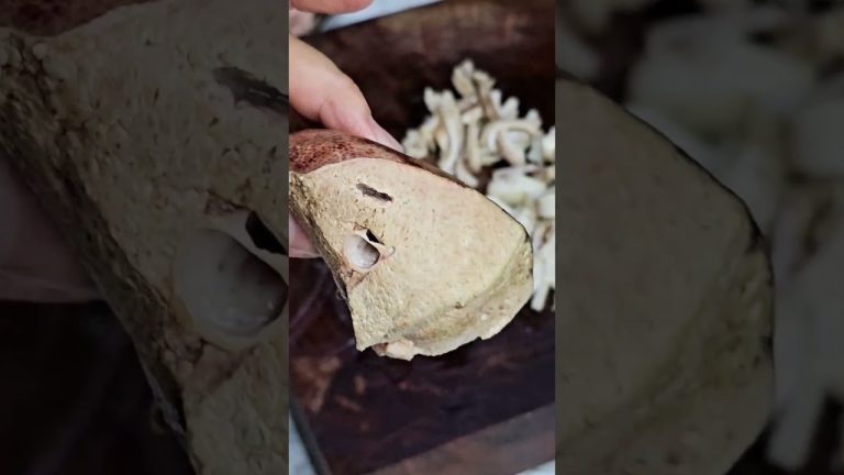 วิธีทำคั่วหมูใส่พริกลาบ ลาบหมูเมืองสูตรลัด #food #อาหาร #เอาหยังมากิ๋นแลง #อาหารเหนือ #ลาบเหนือ