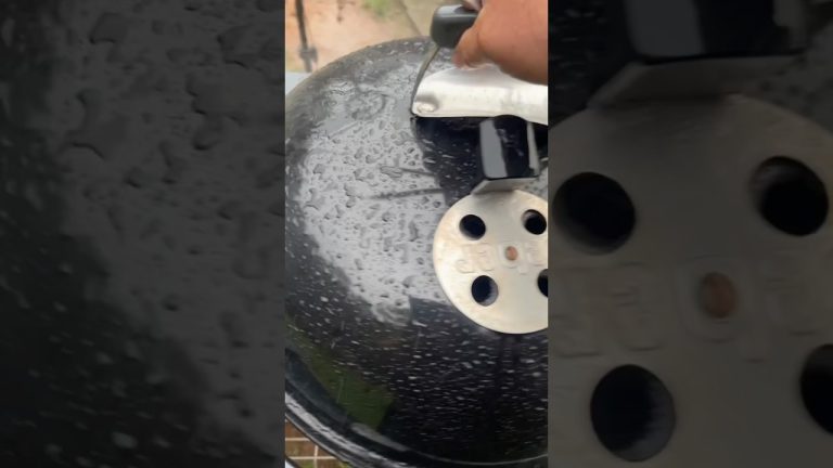 a guy, a grill on a raining day 🌧️ delicious mahi mahi #rotoq360 #dinnerideas #rotisserie #grill