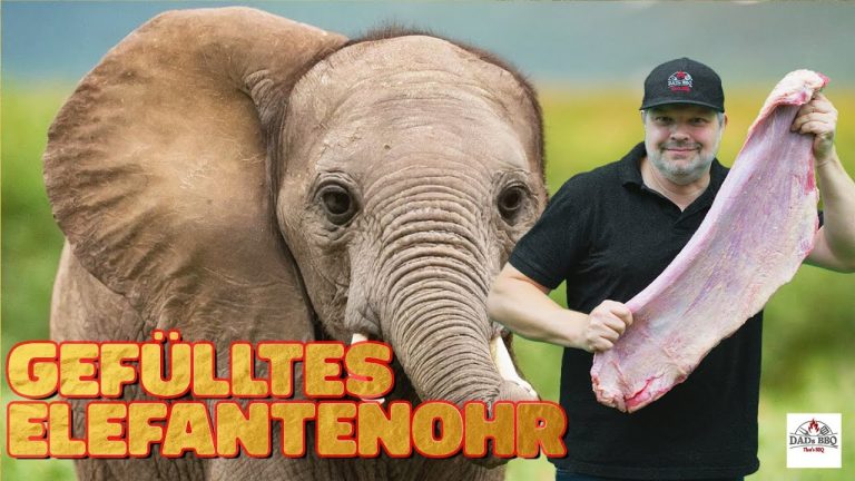 Gefülltes Elefantenohr – argentiniesches Matambre – gefülltes FlankSteak – Asado – Rezept DADs BBQ
