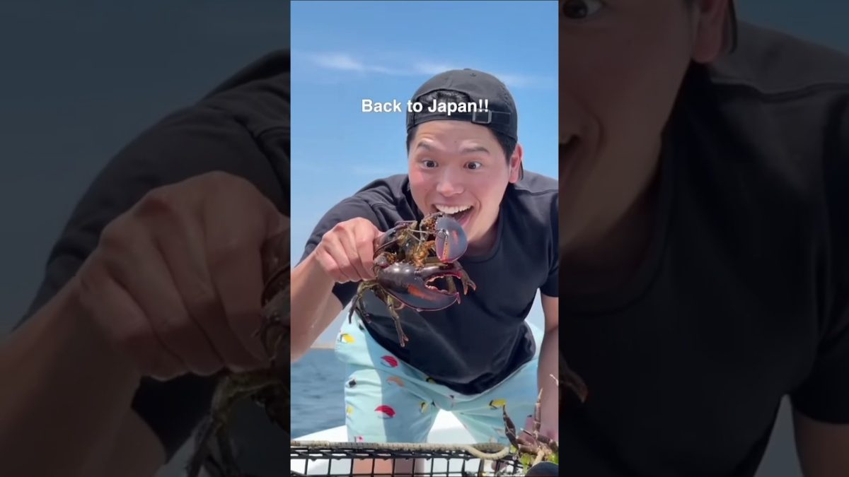 #food #lobstering #cooking #fishing #seafood #lobster #foodie #recipe #pizza #lobsterboil