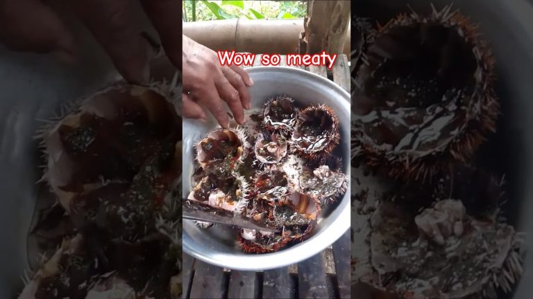 Ang meaty ng swaki! Worth to buy! #food #seafoodrecipes #new #yummy #yummyfood