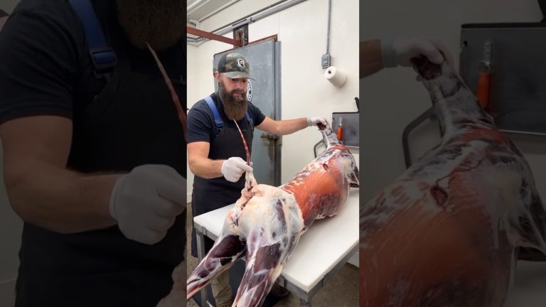 Do you save the deer tail for your dog? 🦌 #shorts #deer #venison