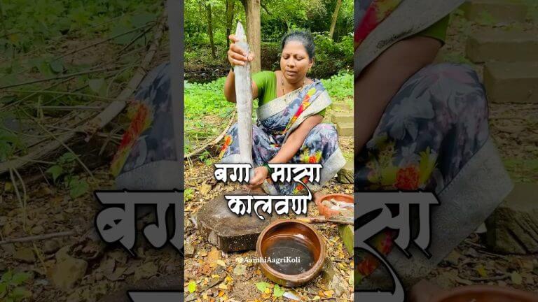 बगा फिश करी | Baga Fish Curry | Fish Curry Recipe | #shorts #cooking #recipe #food #viral #seafood