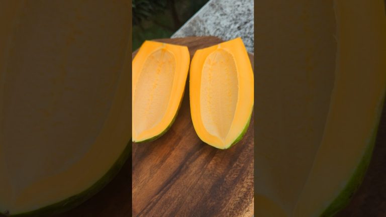 Healthy Papaya Juice #shorts #food #papaya #juice