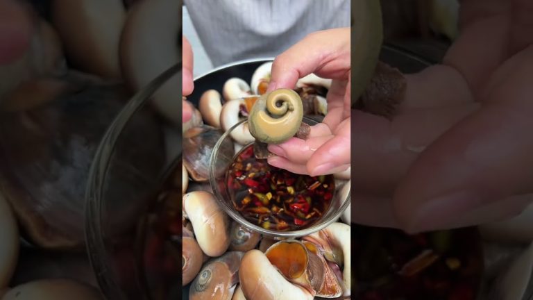 Cat's eye snails Seafood Seafood delicacies Come and taste it together