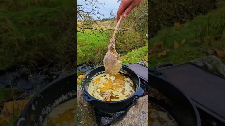 🔥 Cooking the Perfect Steak in the Wilderness 🌲 | Outdoor Fire Grilling Adventure 🍖