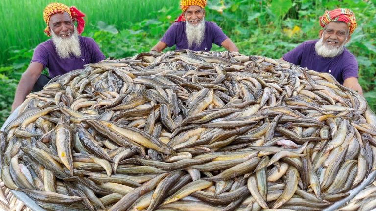 Spiny EEL Fish Cooking – Country Baim Fish Kosha Curry Recipe – Food for Old Age Special People