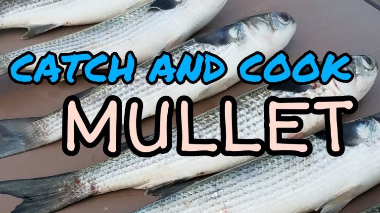 How To Cook Mullet: Two Recipes