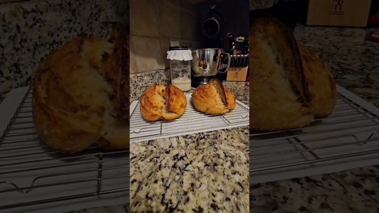 Hot Vs Cold Dutch Oven | #sourdough | #bread | #freshbread | #baking | #dutchoven