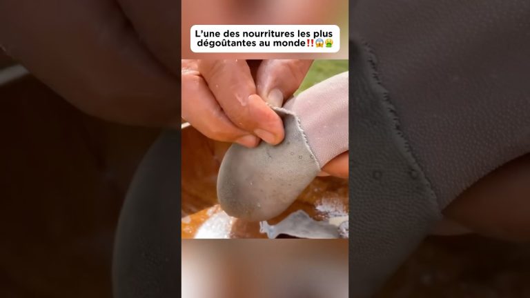 L’une des nourritures les plus dégoûtantes au monde‼️😱🤮#food #beeftongue #découverte #pourtoi #fyp