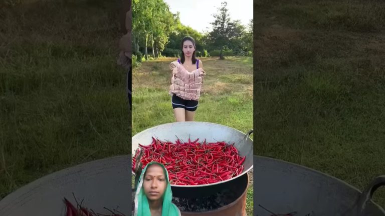 Pork recipe with Chilli cook recipe #food #cooking #recipe #shortvideo #viralvideo