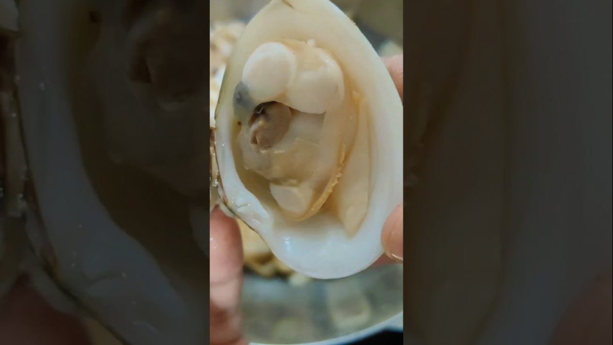 Kakkayirachi (shellfish) roast #recipe #cooking #seafood #seafoodrecipes #shorts#treanding #food
