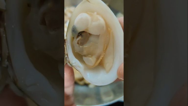 Kakkayirachi (shellfish) roast #recipe #cooking  #seafood #seafoodrecipes #shorts#treanding #food