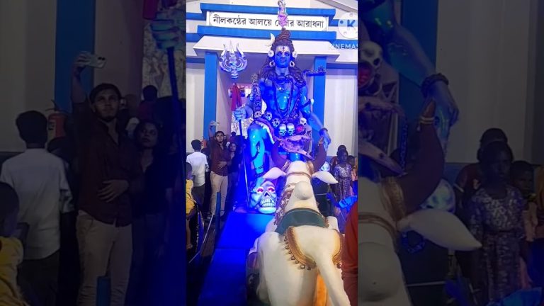 ঠাকুর দেখতে দেখতে ভুড়িভোজ !! # shorts #viralvideo #food #video #seafoodrecipes #ytshortsindia #