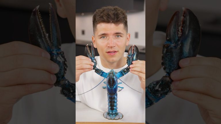 How To Cook Blue Lobster